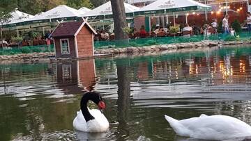 Фото номера Апартаменты-студио Апартаменты апартаменты в самомЦЕНТРЕ города г. Мелитополь 52